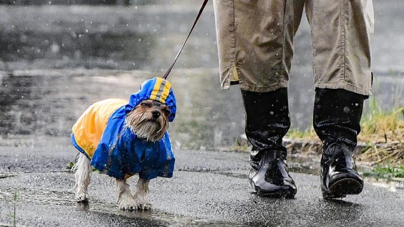 Sledujte RADAR: Česko čeká pošmourný víkend. Příští týden se má navíc výrazněji ochladit