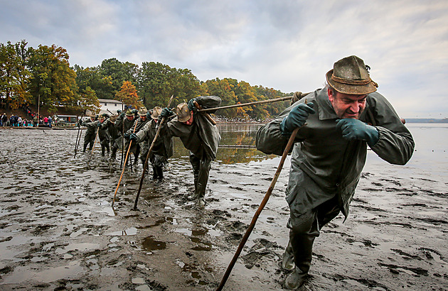 OBRAZEM: Začal výlov Rožmberka. Vydá 100 tun ryb, za podívanou míří davy lidí