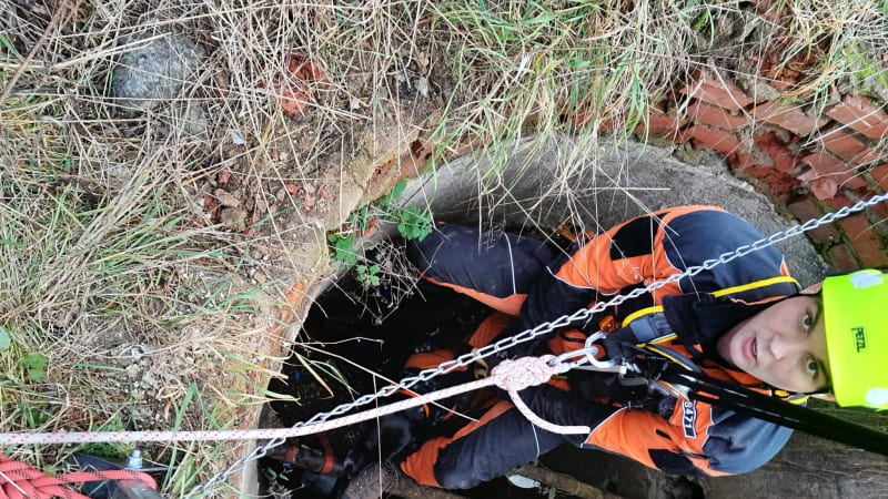 Dramatická záchrana psa ze studny v Hřebči. Uvězněné zvíře vytahoval speciální lezecký tým