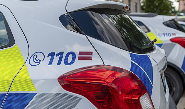 Lotyš s 2,5 promile raději nechal řídit auto svého desetiletého syna