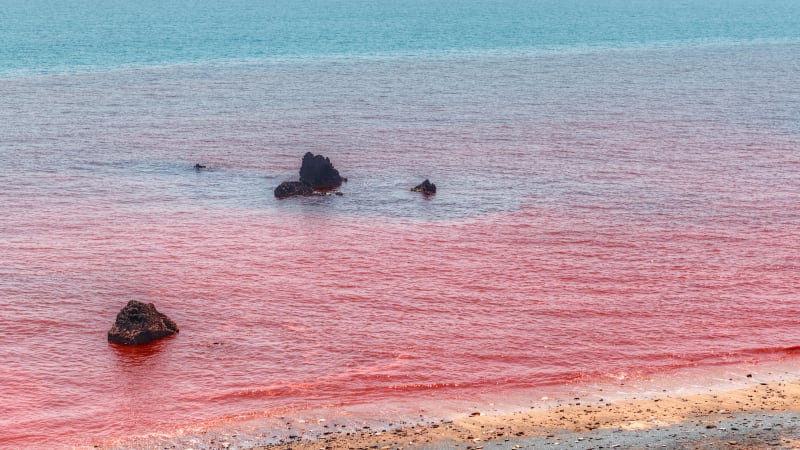 Moře se zbarvilo do krvava, ukazují záběry z Íránu. Jako výjev z bible, píší lidé na sítích