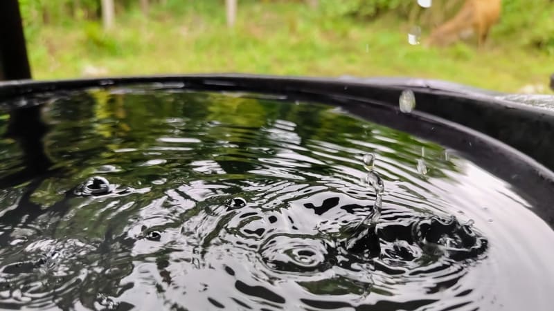 Tragédie na Štědrý den: Dvouletá brazilská dívka utonula v kbelíku s vodou