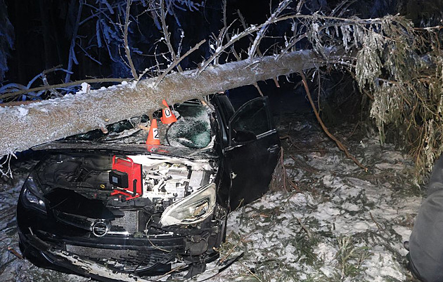 Na jedoucí auto spadl strom, nevydržel nápor sněhu