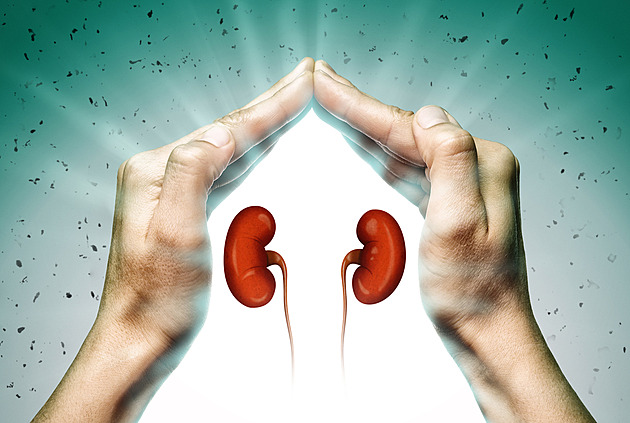 Selhání ledvin jako hrozba budoucnosti. Co říkají odborníci?