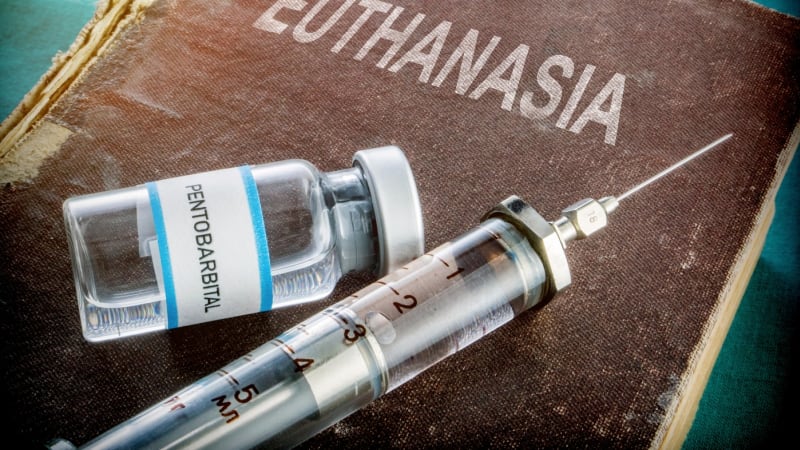 Eutanázie ukončila tragický život mladé Španělky. O právo zemřít svedla boj s církví i otcem