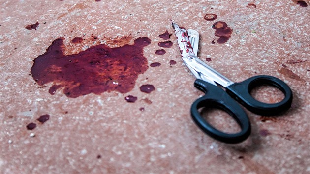 Bál se rodičů. Nezletilý vrah brutálně ubodal sousedku pro dvě stě korun