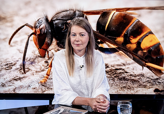 Kamiony rozvážejí hrozbu. Expertka popisuje, jak sršeň asijská dobývá Evropu