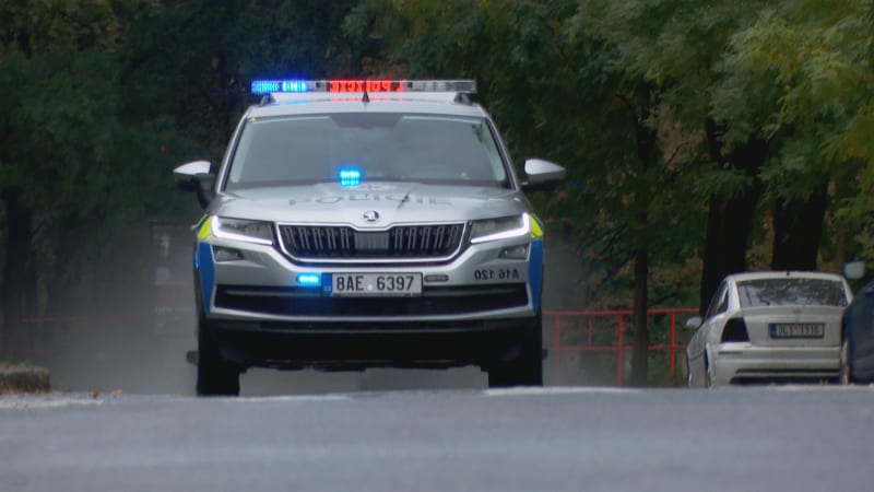 Pokus o znásilnění v Ostravě: Kriminálník v parku napadl nezletilou, zachránil ji svědek
