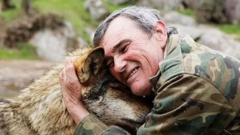 Zemřel slavný španělský vlčí muž. Marcos Rodríguez vyrůstal v divočině se smečkou