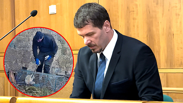 Důkazy byly slabé, řekl soud a poslal případ týrání zvířat do přestupkového řízení