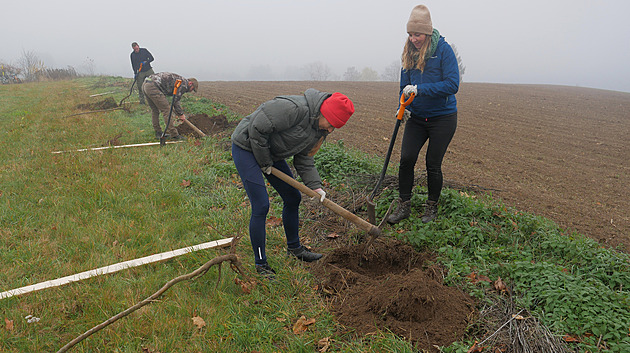 Poutníci marně hledají stín. V krajině Žďárských vrchů přibude další stromořadí